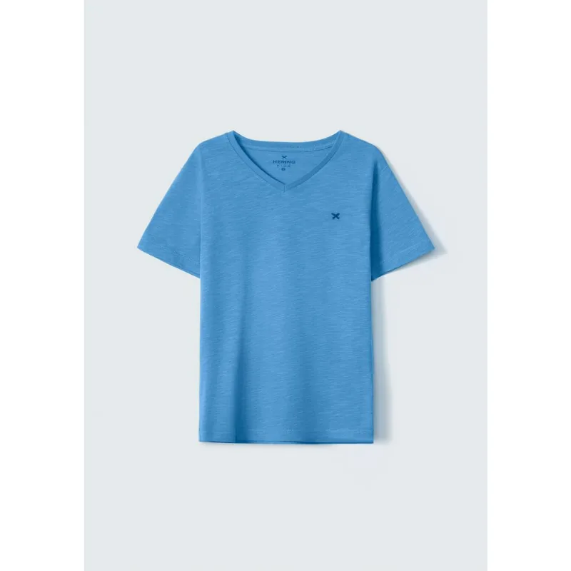 Camiseta Básica Infantil Menino Flamê Em Decote V - Azul 012