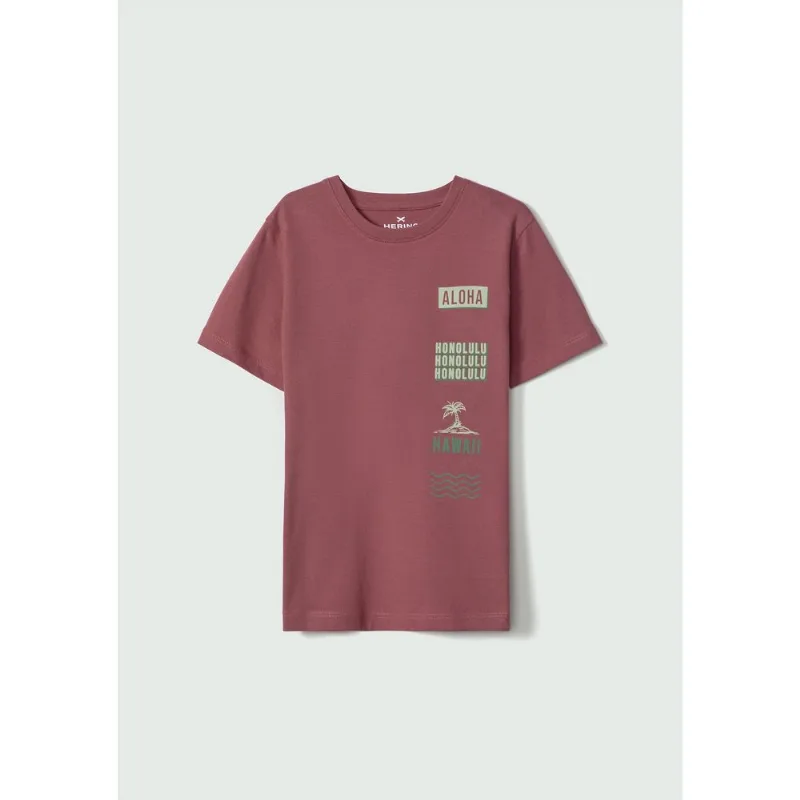Camiseta Infantil Menino Manga Curta Com Estampa - Vinho 010