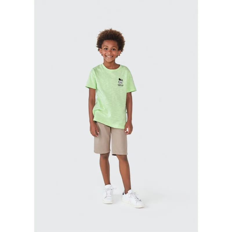 Camiseta Infantil Menino Estampada Flamê - Verde 016