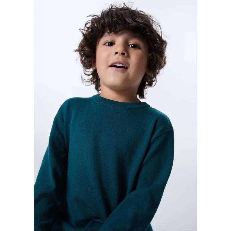 Blusão Infantil Menino Regular Com Decote Redondo - Verde 003