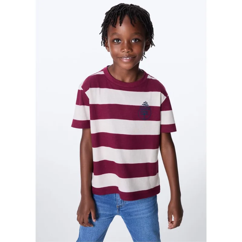 Camiseta Infantil Menino Estampada - Vinho 012
