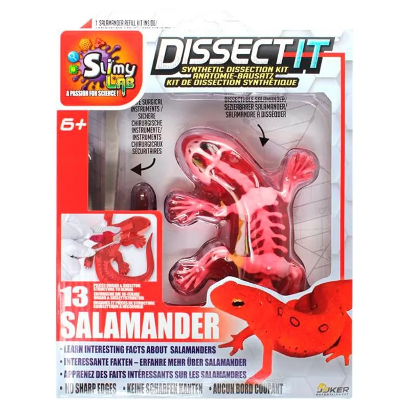 Kit de Dissecação com Refil Lab Dissect-It - Salamandra