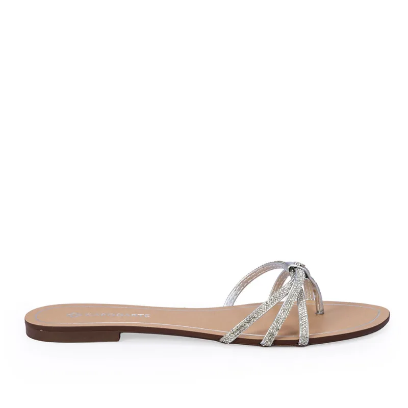 Chinelo Rasteiro Prateado Brilhos 36
