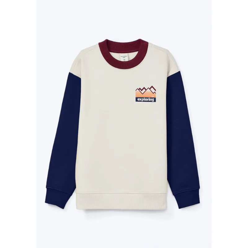 Blusão Infantil Menino Com Estampa Localizada - Cinza 008