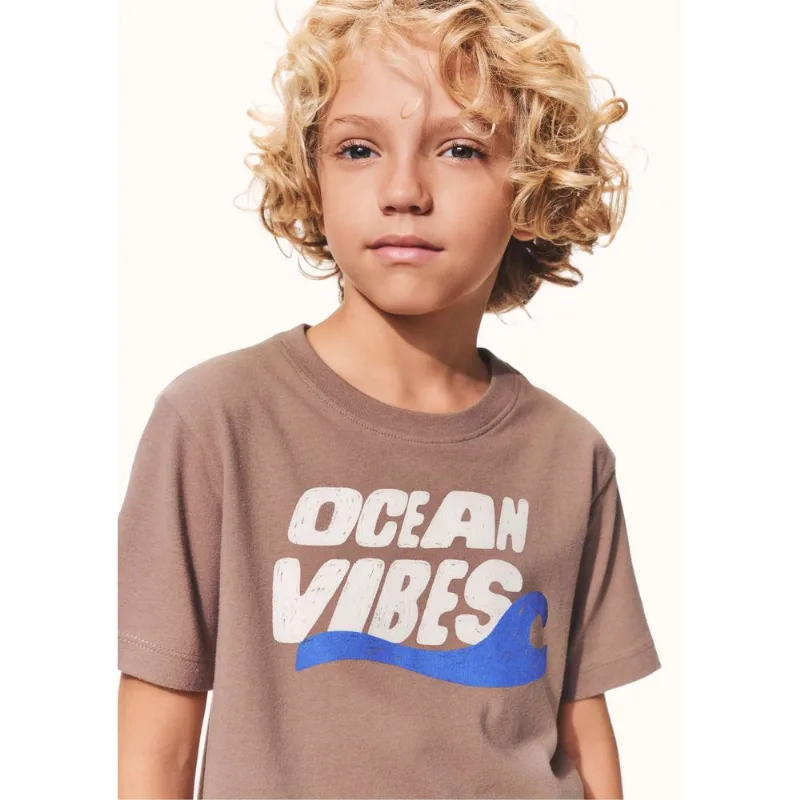 Camiseta Infantil Menino Manga Curta Com Estampa - Marrom 004