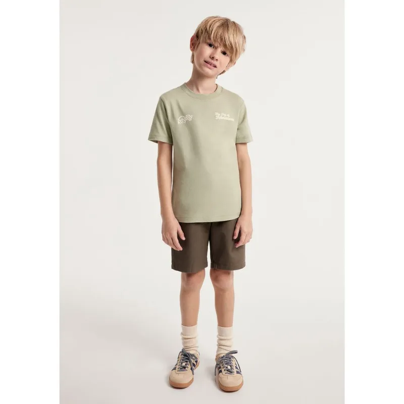Camiseta Infantil Menino Regular Estampada - Verde 012