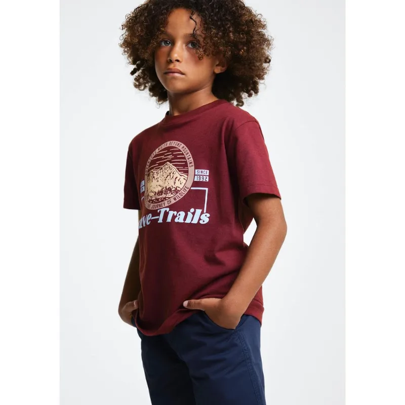 Camiseta Infantil Menino Manga Curta Com Estampa - Vinho 014