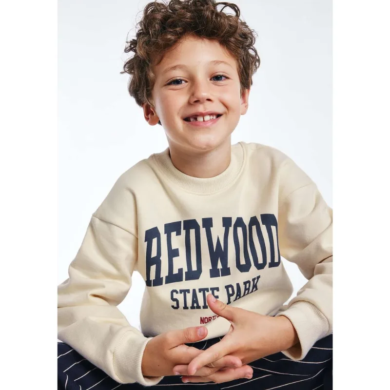 Blusão Infantil Menino Em Moletom Estampado - Creme 016
