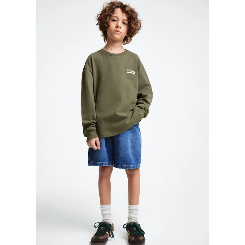 Camiseta Infantil Menino Manga Longa Com Bordado - Verde 012