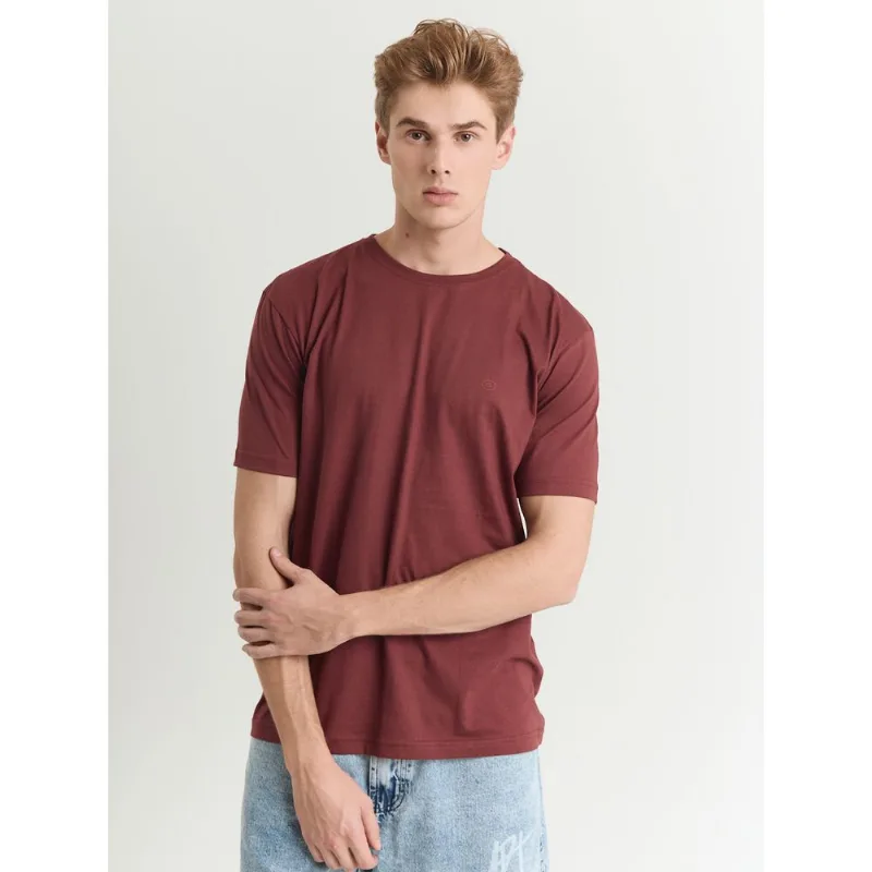 Camiseta 100% algodão masculina gola redonda vinho Bordô GG