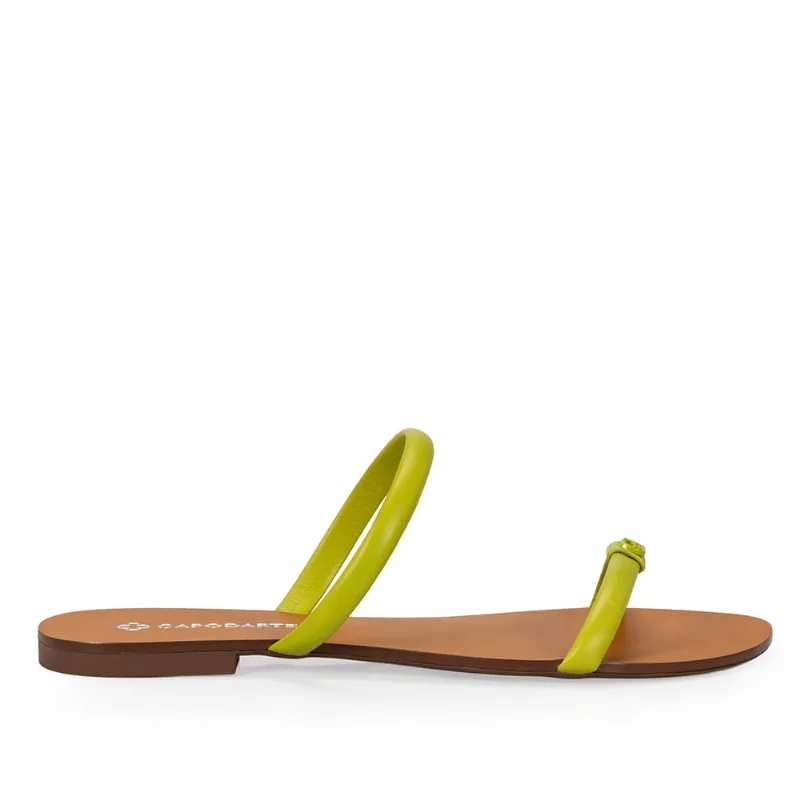 Chinelo Rasteiro Couro Verde 36