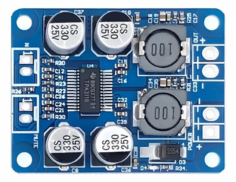 Placa Amplificador Digital 60 W Rms 12v A 24v Tpa3118 Mono
