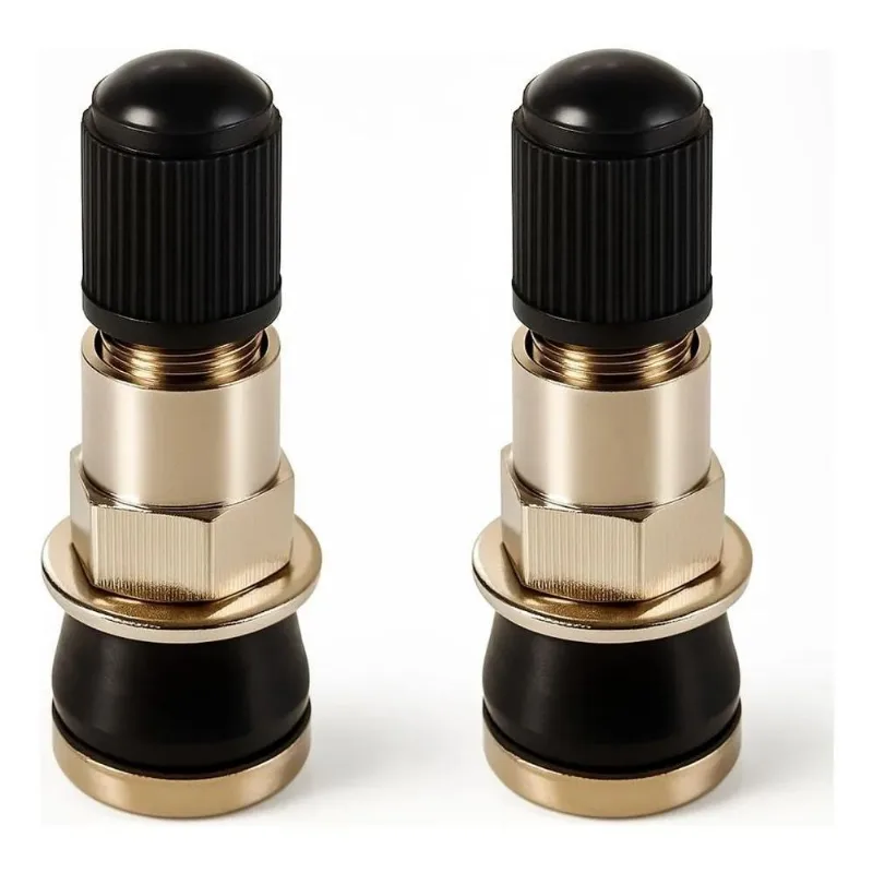 2 Bico Metal Roda De Liga Leve Moto Sem Camara