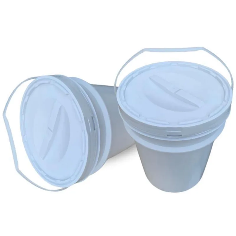 Balde Grande De 20L Alça Plástica E Tampa Rosca - Kit 2 Pçs