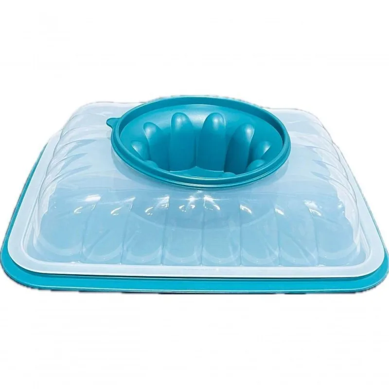 Tupperware Mágica Retangular Grande 2,5 Litros Mistério Pote para Alimentos Plástico Vedação - Tupperware