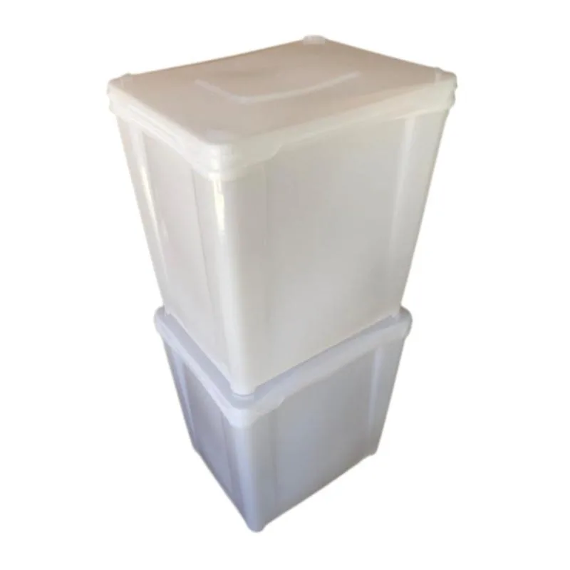 Pote Para Sorvete 10 Litros 100% Bpa Free - Kit 02 Peças - Não Informado - Utilidades Domesticas