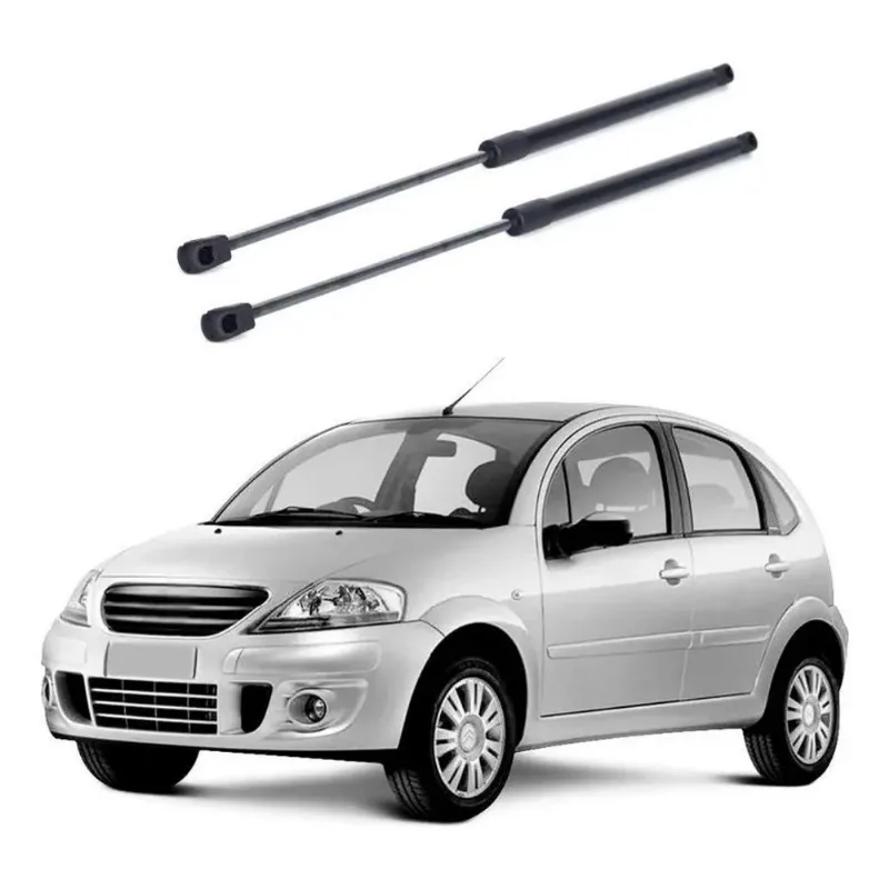 10x Par Amortecedor Porta Malas Citroen C3 Hatch 2003 À 201