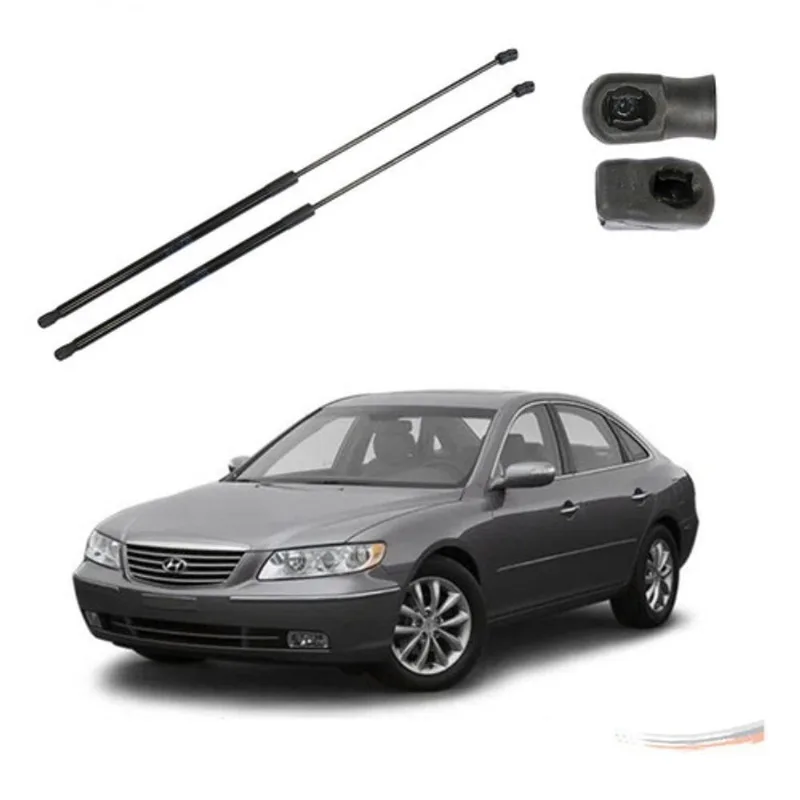 Amortecedor de Capô F103 para Azera 2007 a 2011 Jetta 2006 a 2011 Passat G7 2011 a 2015 Amortex