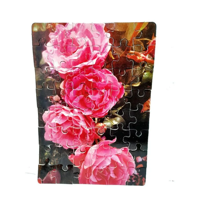 Kit 2 Quebra-cabeças Cognitivos - Rosas 40 Peças