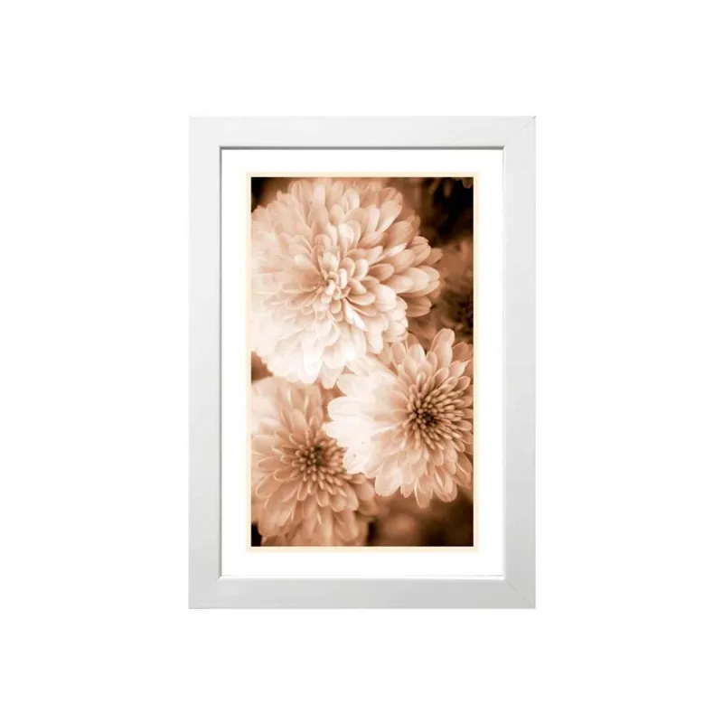 Quadro decorativo Sépia I 23x33cm branco Infinity - Infinity