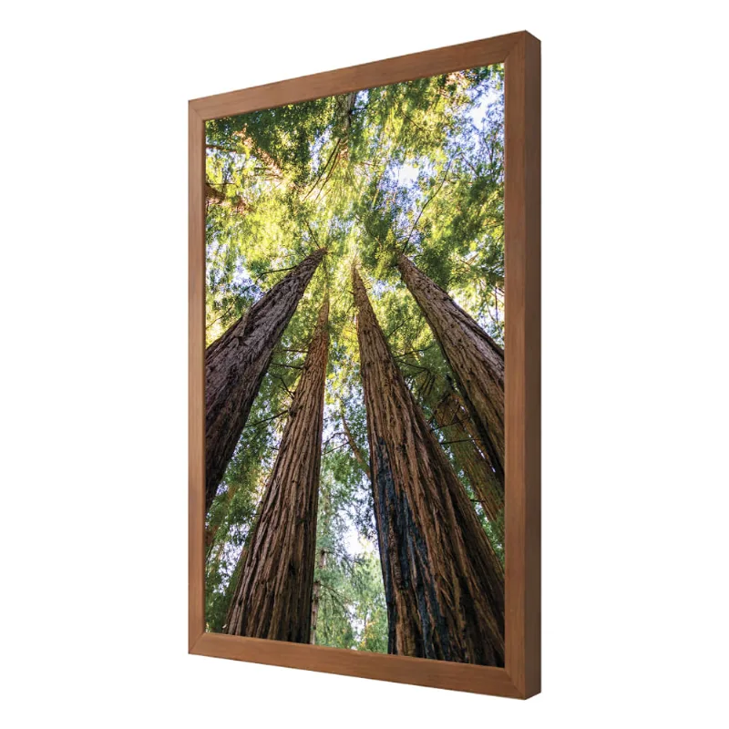 Quadro Decorativo Floresta 60x90 - Art Frame - Art Frame