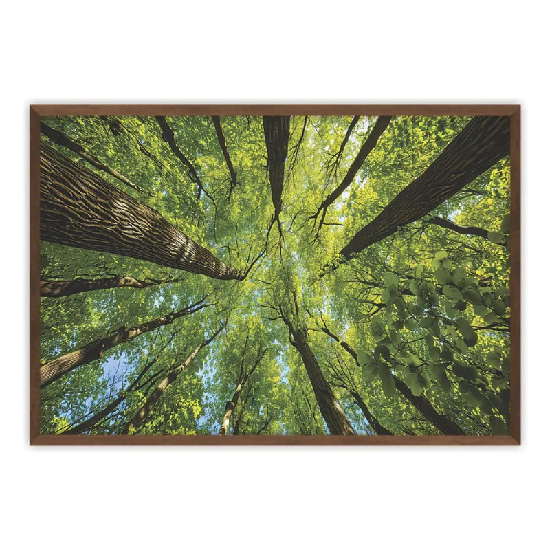 Quadro Canvas Floresta 80x120 - Art Frame - Art Frame