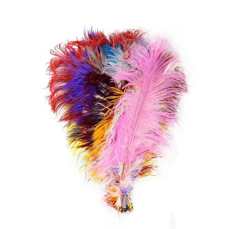 Pluma De Avestruz P - 10 Unidades 31 A 40Cm - Não Informado - Brinquedos