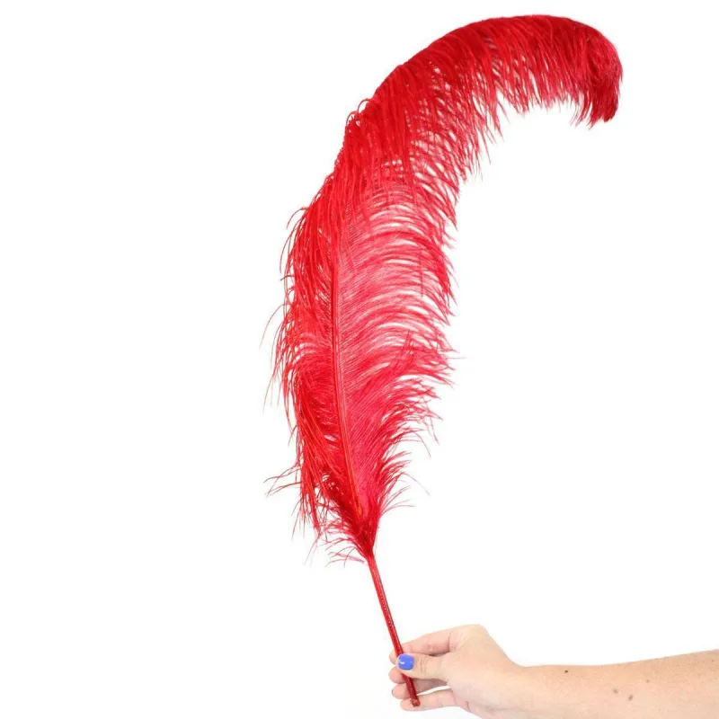 Plumas Extra Avestruz Carnaval Festa Artesanato-019 - Não Informado - Papelaria