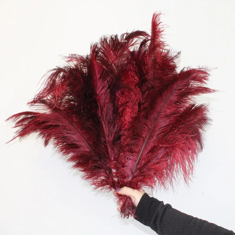Pluma De Avestruz Decoração Luxo Romântico - 007 - Vinho - Não Informado - Decoração