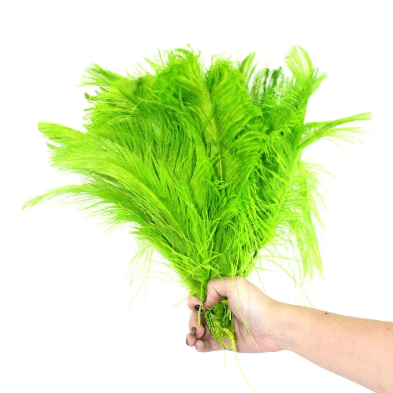Plumas De Avestruz Arranjos - Verde Limão - Não Informado - Drogaria