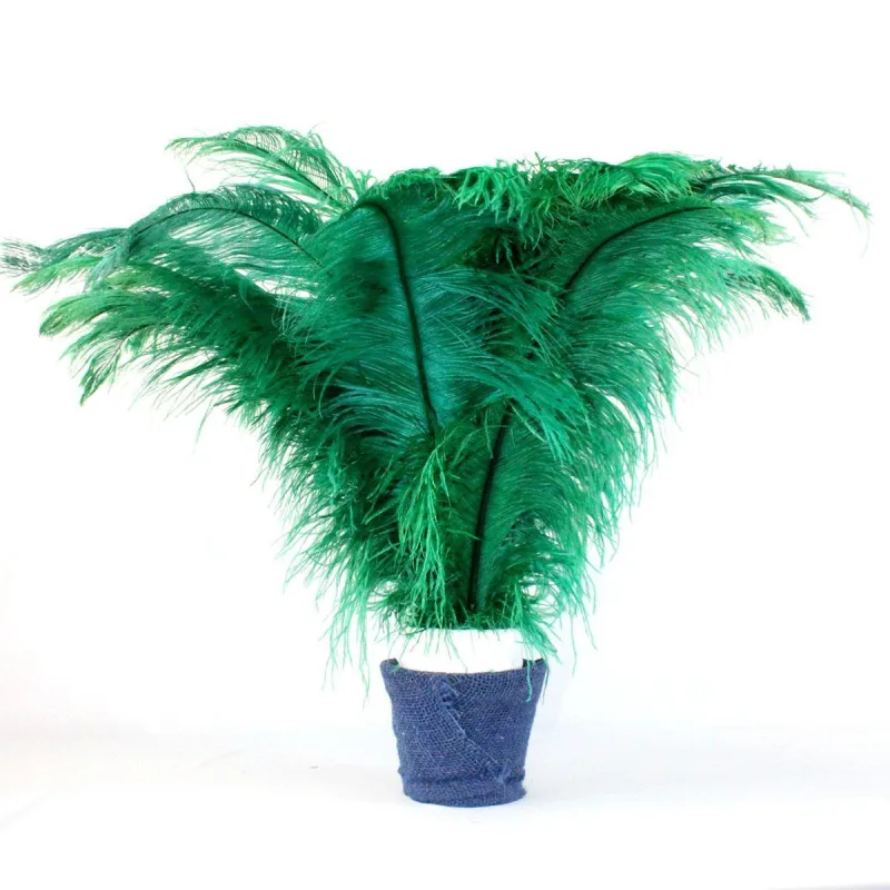 Plumas De Avestruz Para Ambientes - Verde Bandeira - Não Informado - Decoração