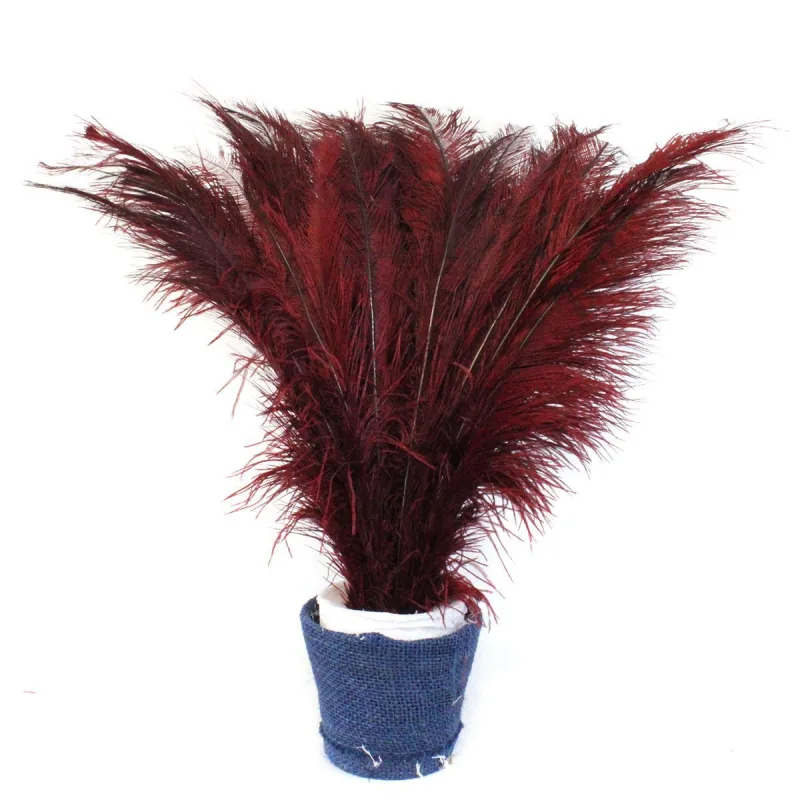 Plumas De Avestruz Palito 100g - Vinho - Não Informado - Utilidades Domesticas
