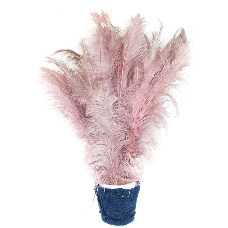 Plumas De Avestruz Palito Decor 100g - Nude - Não Informado - Utilidades Domesticas