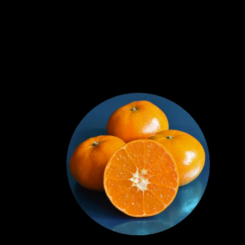 Tangerina Nadorcott Bravis 1kg