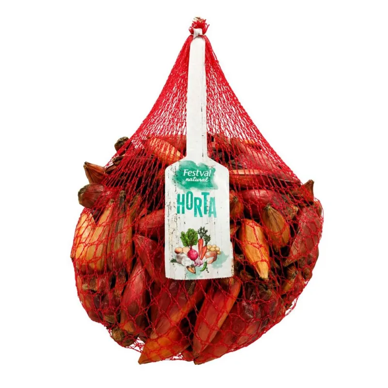 Pinhão Festval 1kg - Festval - Hortifruti