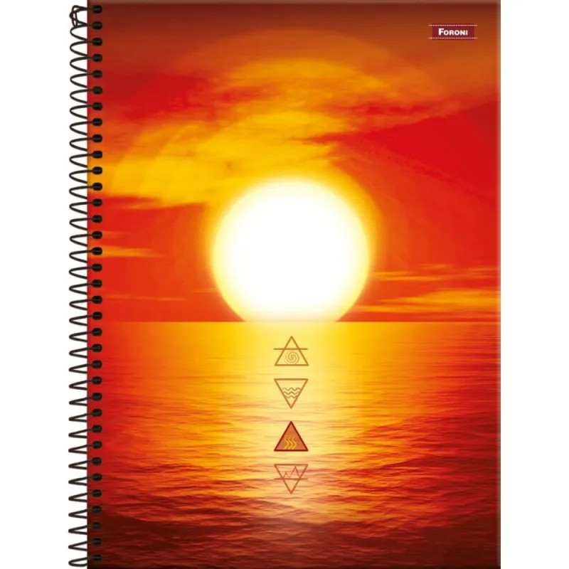 Caderno 20X1 Capa Dura 4 Elementos 320FLS. - FORONI - Papelaria