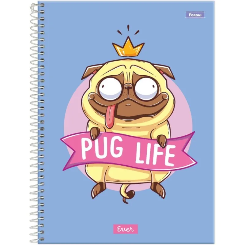 Caderno 10X1 Capa Dura EVER 160F PCT.C/04 - FORONI - Papelaria