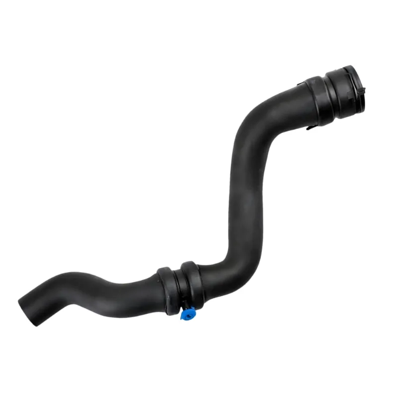 Mangueira Radiador Superior Grand Siena Palio 1.6 16v 2012