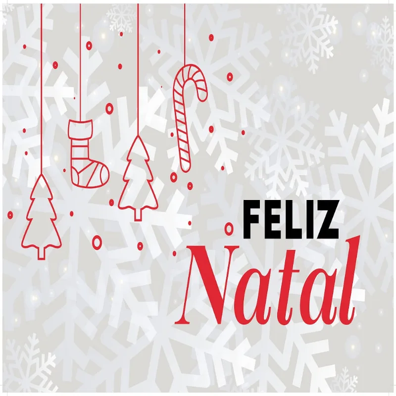 TAPETE TRANSFER NATAL 40X60 DES 019