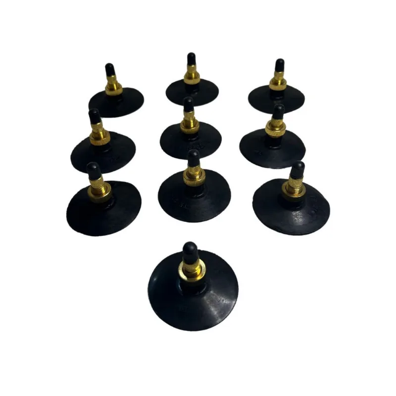 Bico Valvula Camara De Ar Agricola Agua Trator TR218a 10uni.