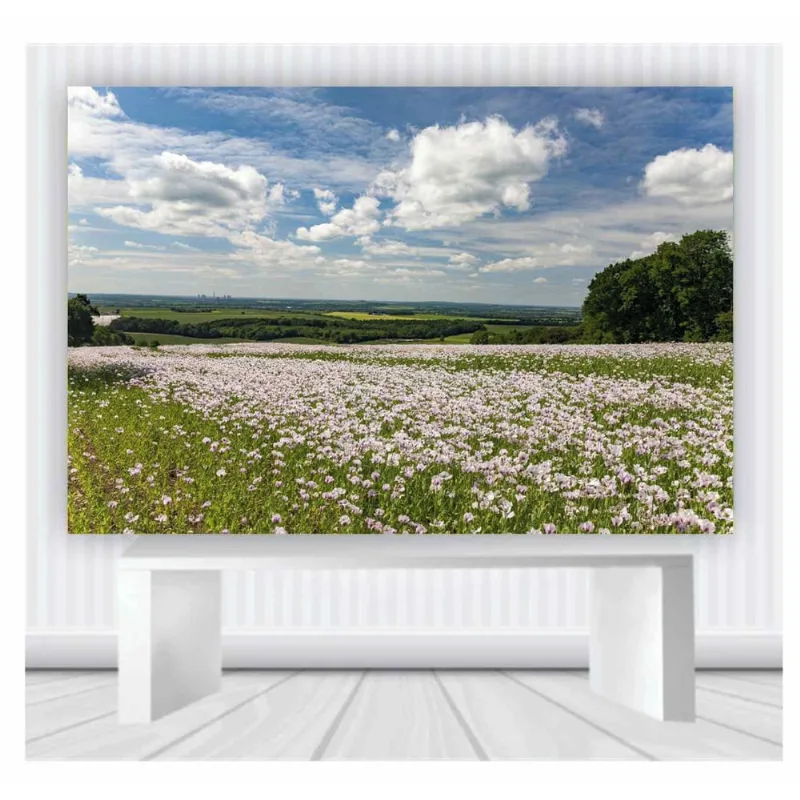 Painel de Festa Flor do campo tamanho 100cmx65cm F77
