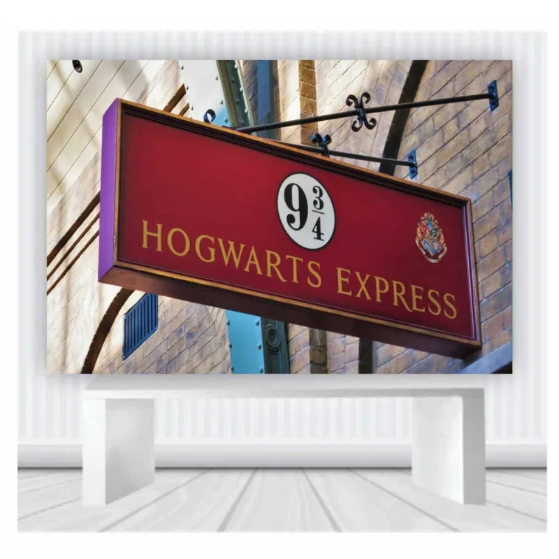 Painel de Festa Harry Potter tamanho 100cmx65cm mod62