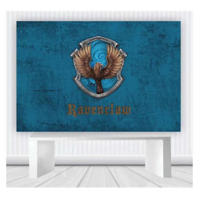 Painel de Festa Harry Potter tamanho 100cmx65cm mod67