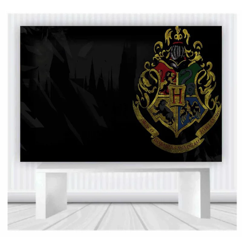 Painel de Festa Harry Potter tamanho 100cmx65cm mod70