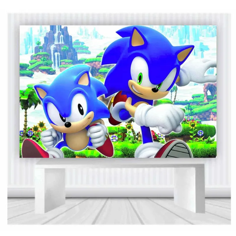 Painel de Festa Sonic tamanho 100cmx65cm mod 35