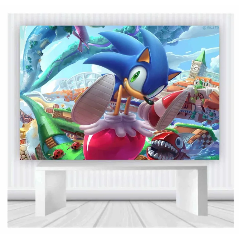 Painel de Festa Sonic tamanho 100cmx65cm mod 37