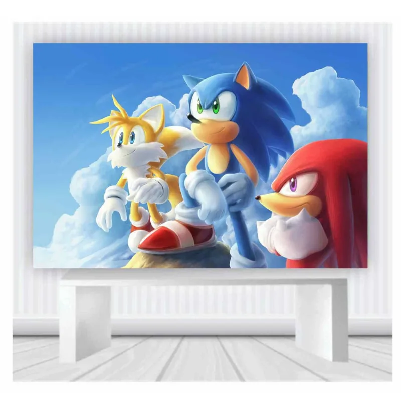 Painel de Festa Sonic tamanho 100cmx65cm mod 39