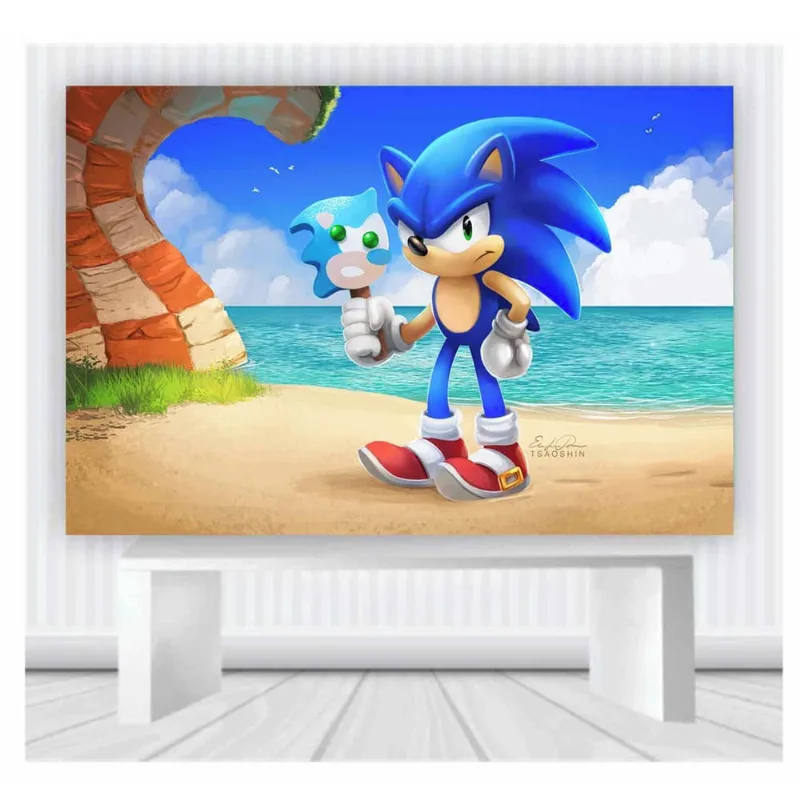 Painel de Festa Sonic tamanho 100cmx65cm mod 40
