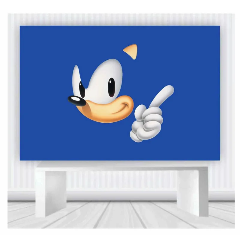 Painel de Festa Sonic tamanho 100cmx65cm mod 43