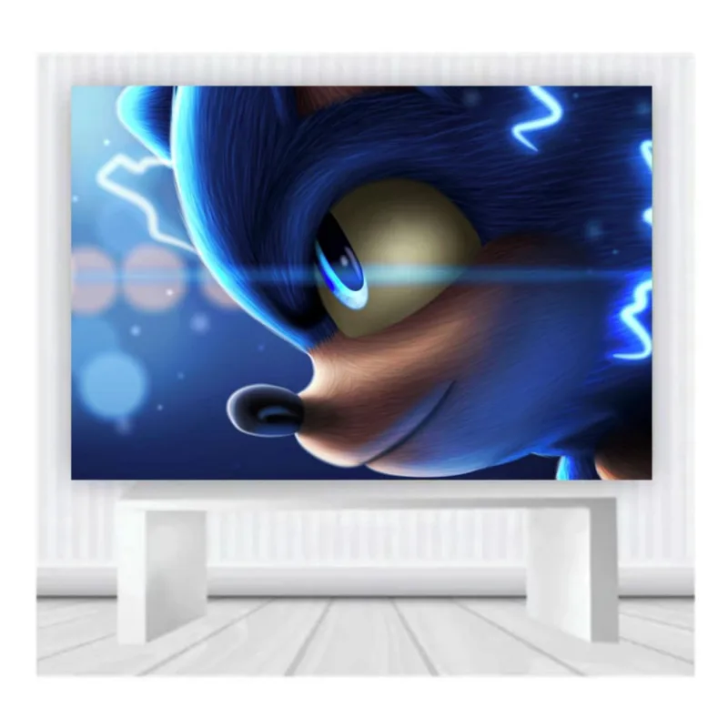 Painel de Festa Sonic Mod 06 tam 100cmx65cm
